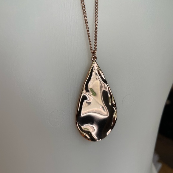 NWT - Express Pendant Necklace - Picture 4 of 5